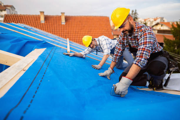 Best Roof Ventilation Installation  in Red Lick, TX