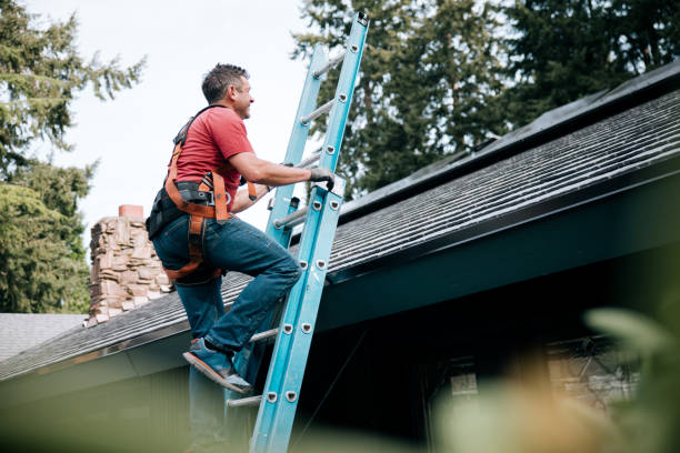 Best Roof Maintenance and Cleaning  in Red Lick, TX